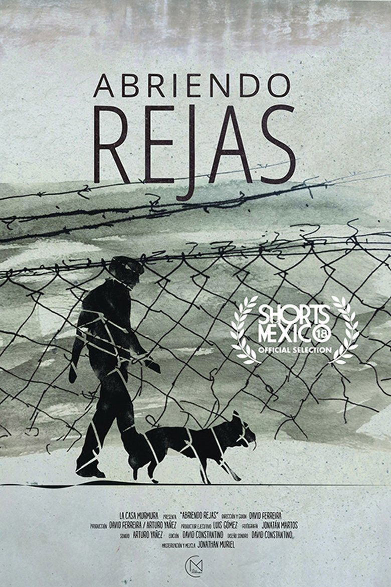 Poster of Abriendo rejas