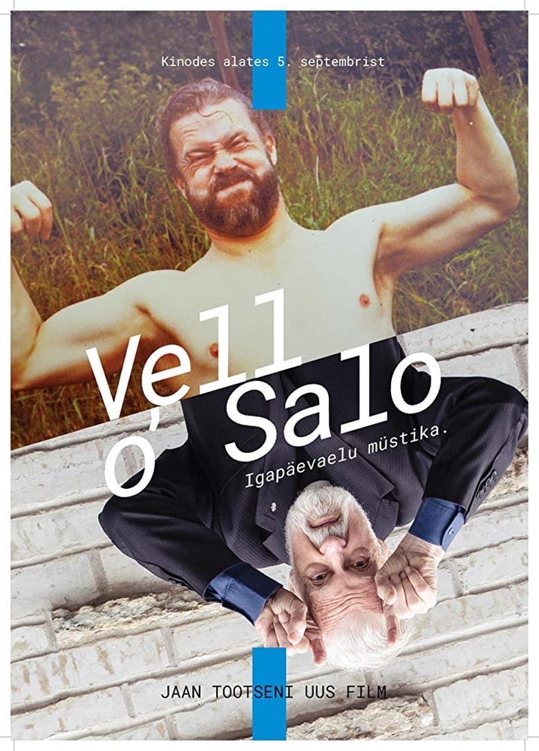 Poster of Vello Salo. Everyday Mysticism