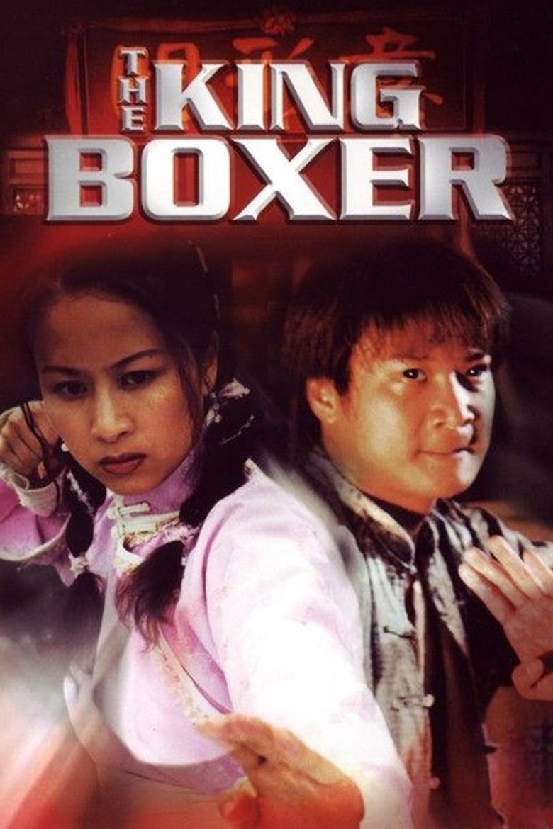 Poster of The King Boxer