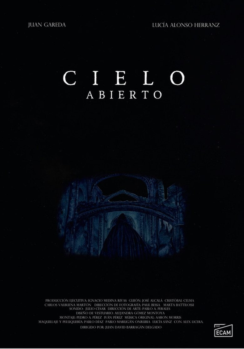 Poster of Cielo Abierto