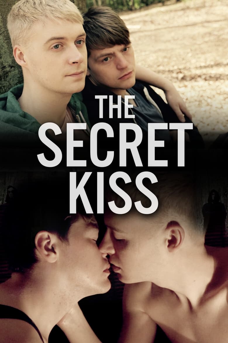 Poster of The Secret Kiss