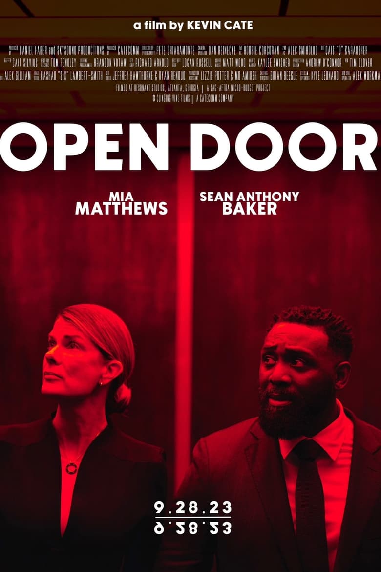 Poster of Open Door