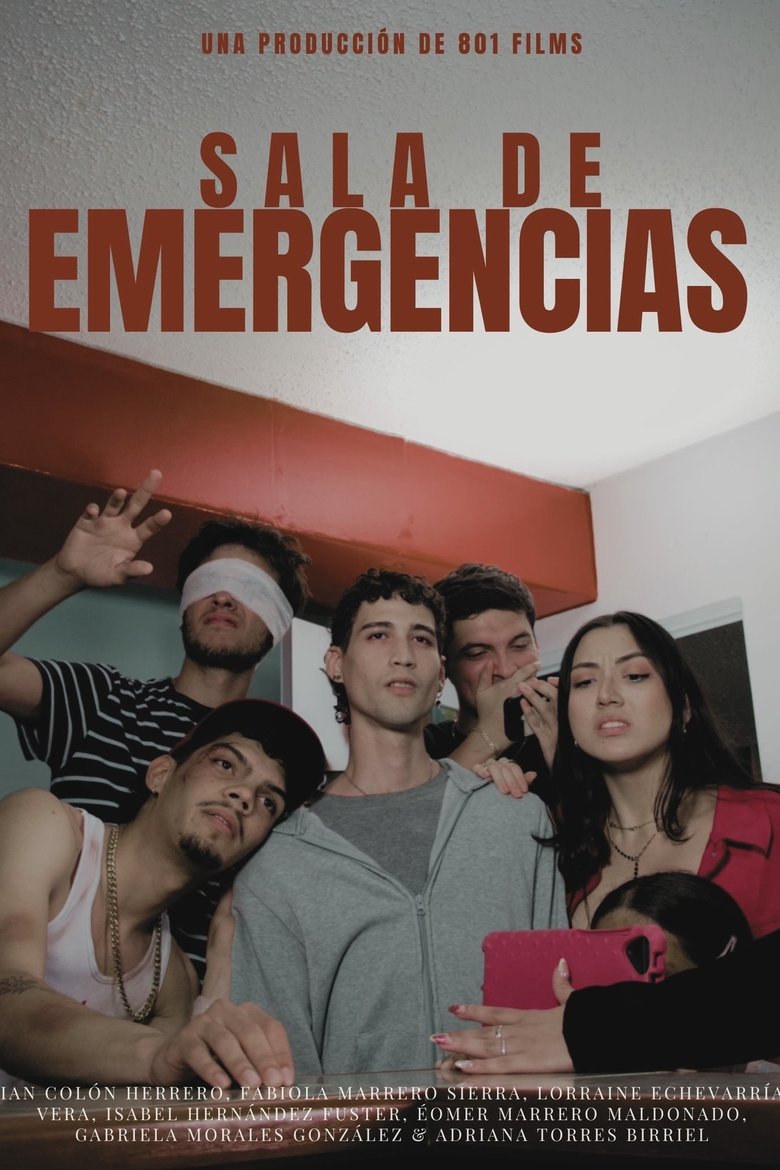 Poster of Emergency Room