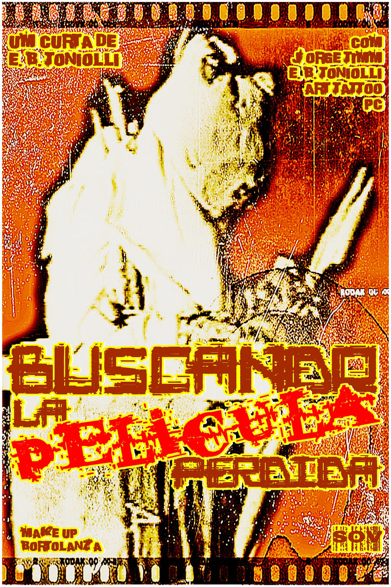 Poster of Buscando la Película Perdida