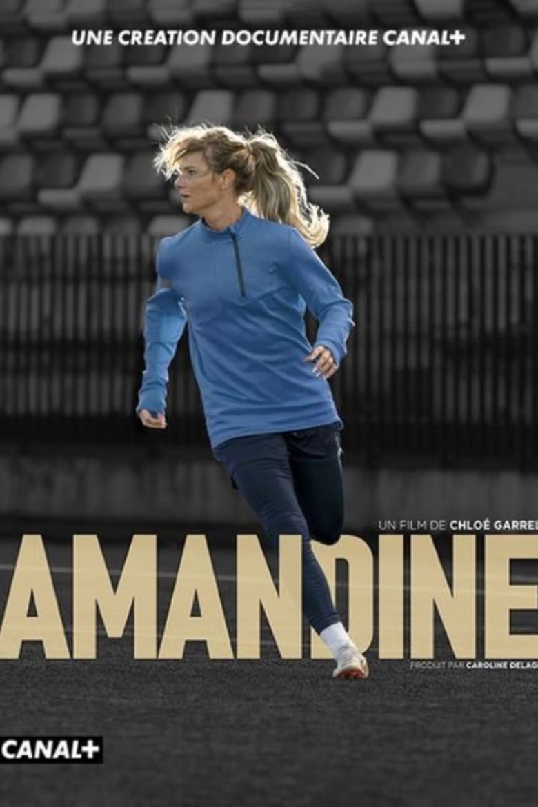 Poster of Amandine