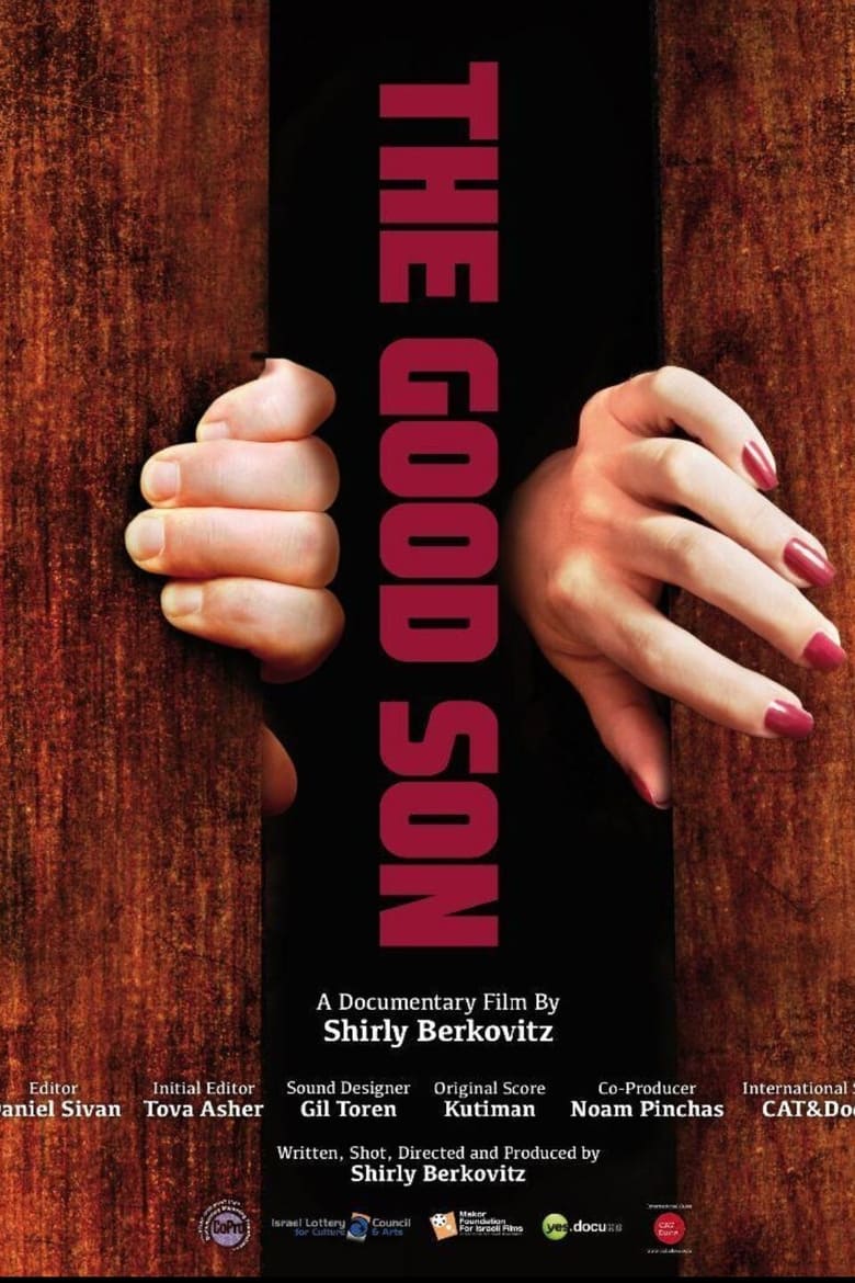 Poster of The Good Son