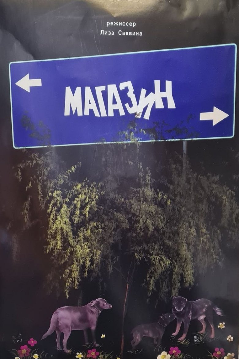 Poster of The Store