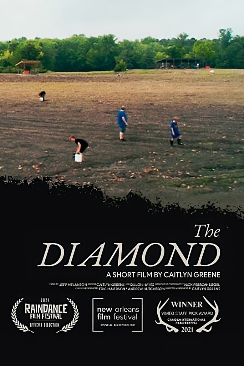 Poster of The Diamond