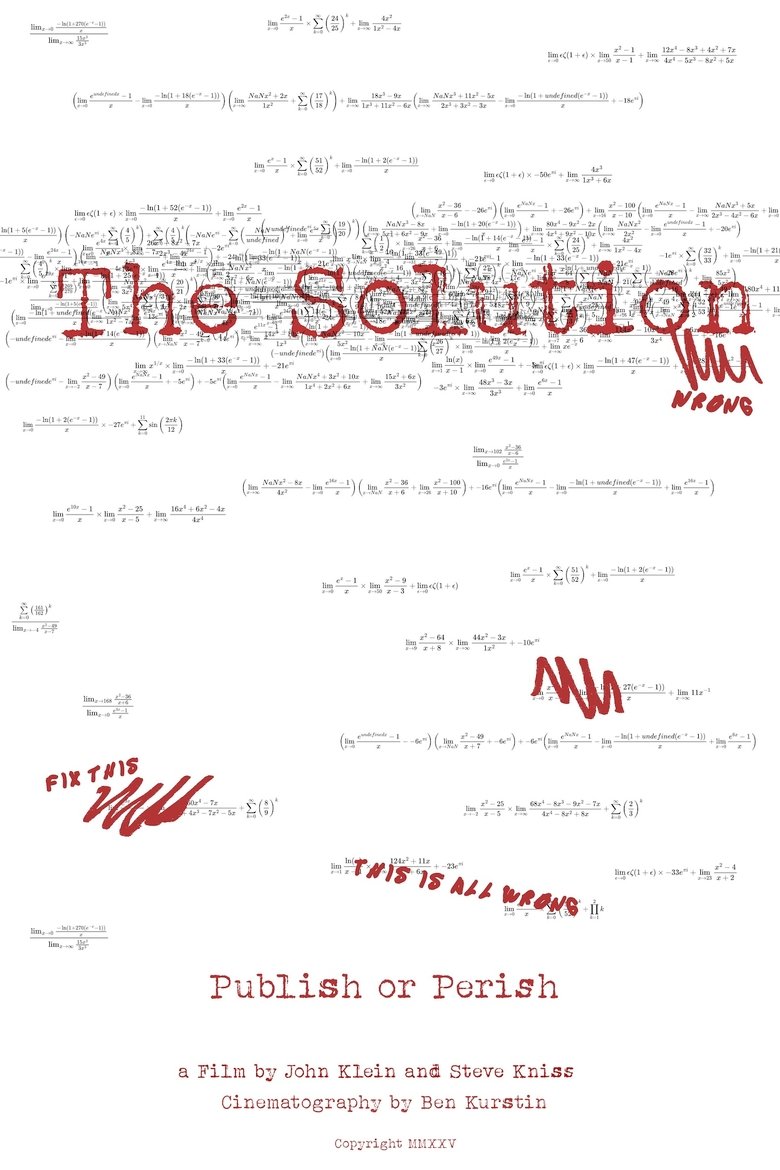 Poster of The Solution