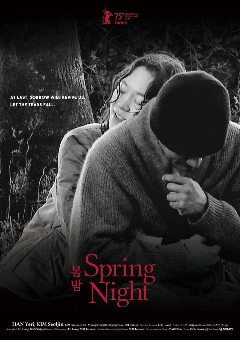 Poster of Spring Night