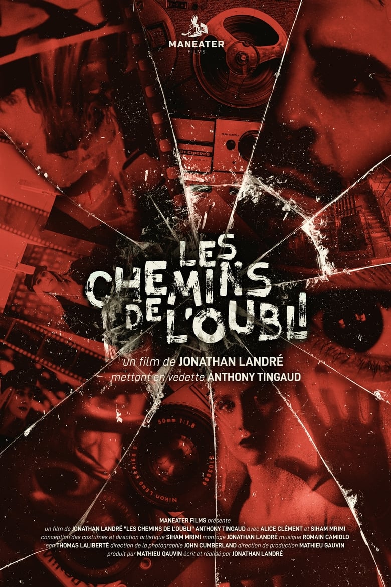 Poster of Les chemins de l'oubli