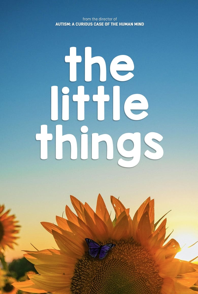 Poster of The Little Things