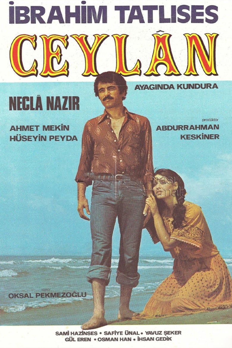 Poster of Ceylan