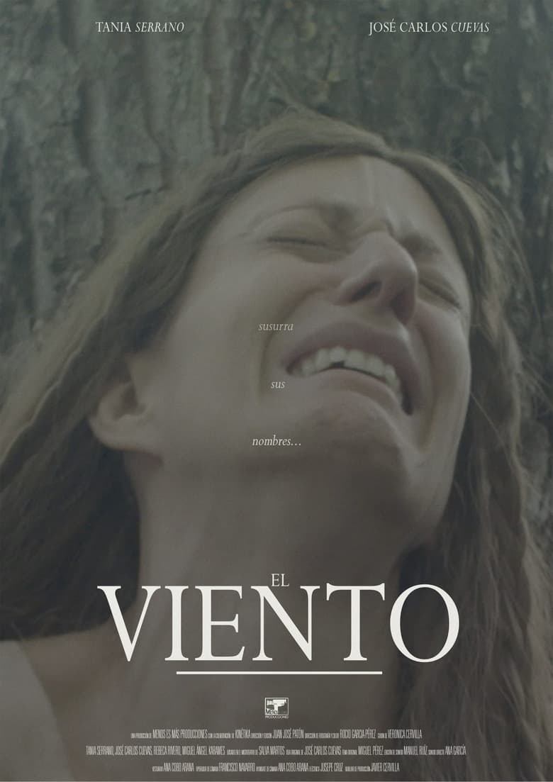 Poster of El viento