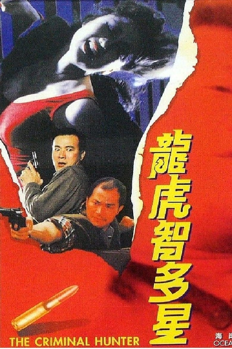 Poster of The Criminal Hunter