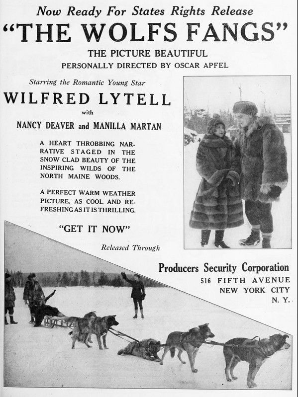 Poster of The Wolf's Fangs