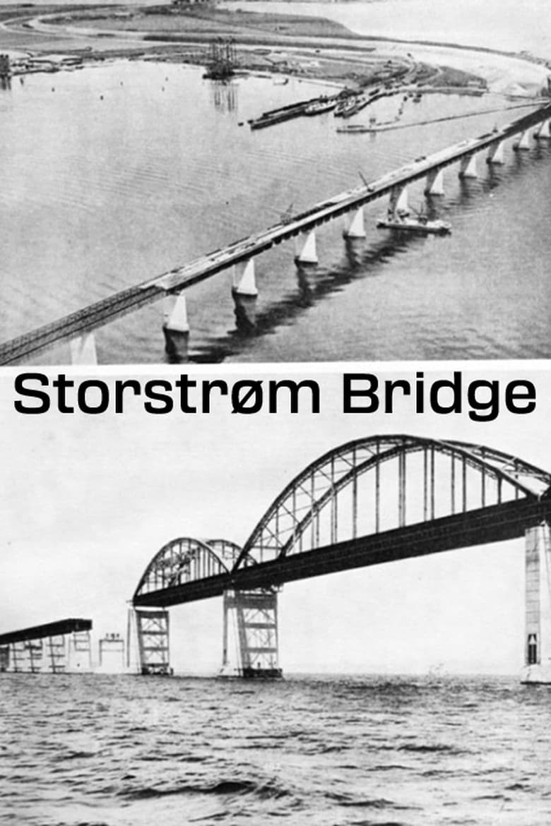 Poster of Storstrøm Bridge