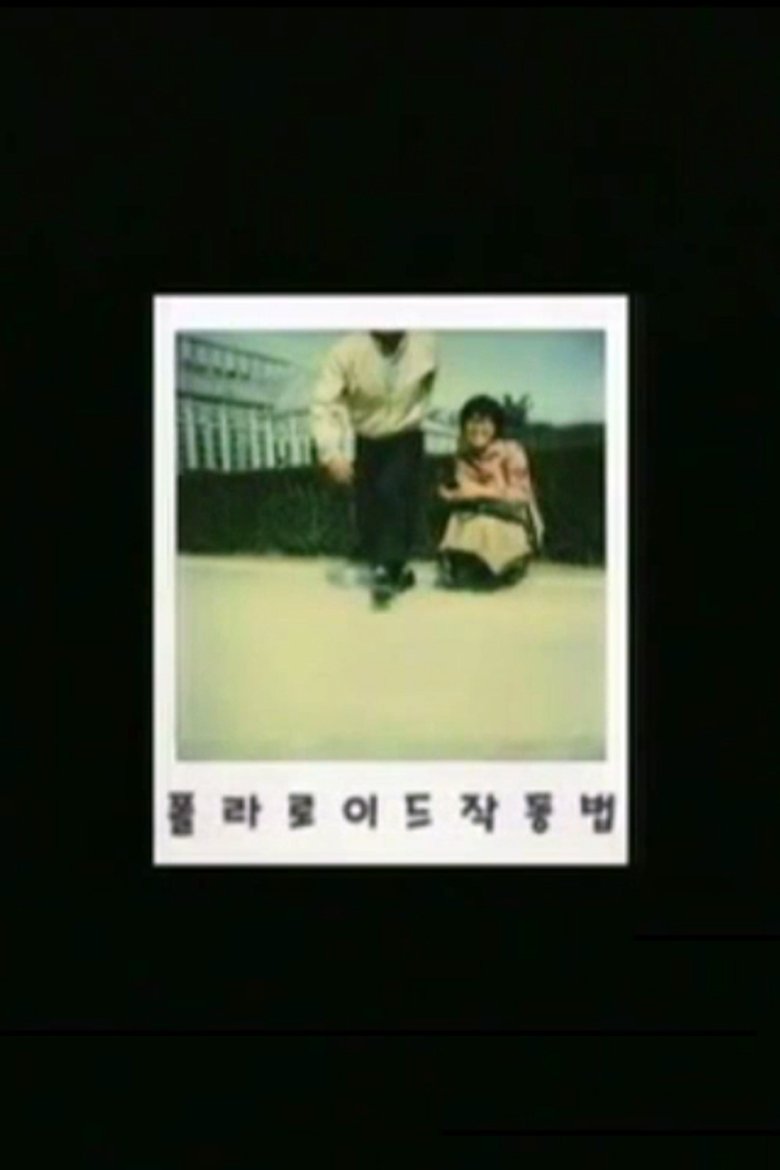 Poster of How to Operate a Polaroid Camera