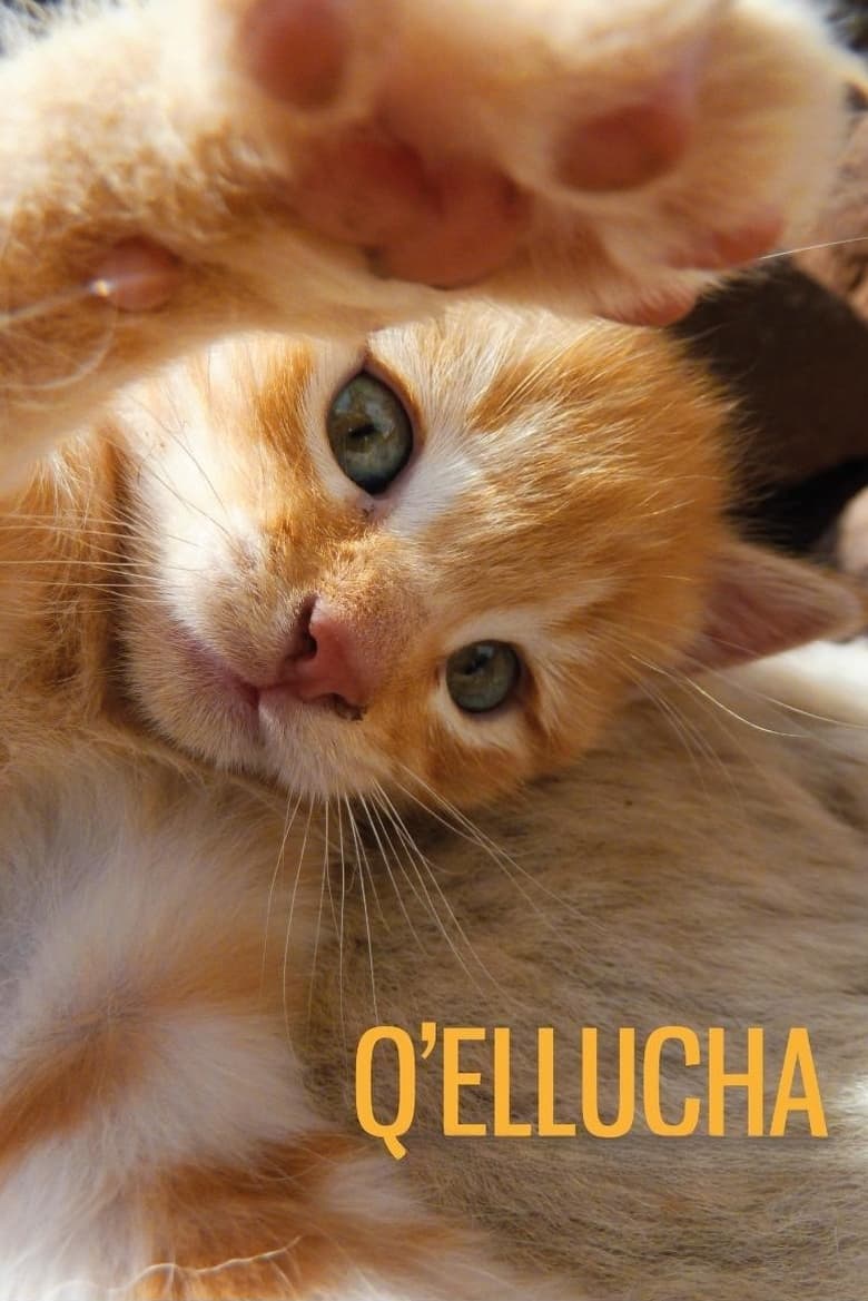 Poster of Q’ellucha