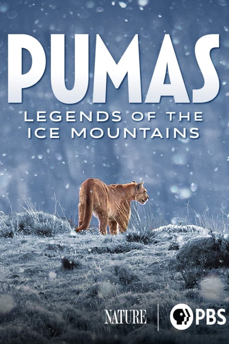 Poster of Pumas: Legends of the Ice Mountains