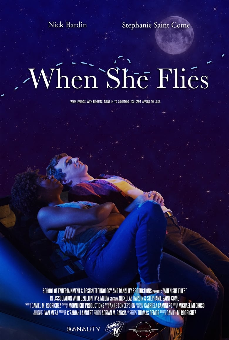 Poster of When She Flies