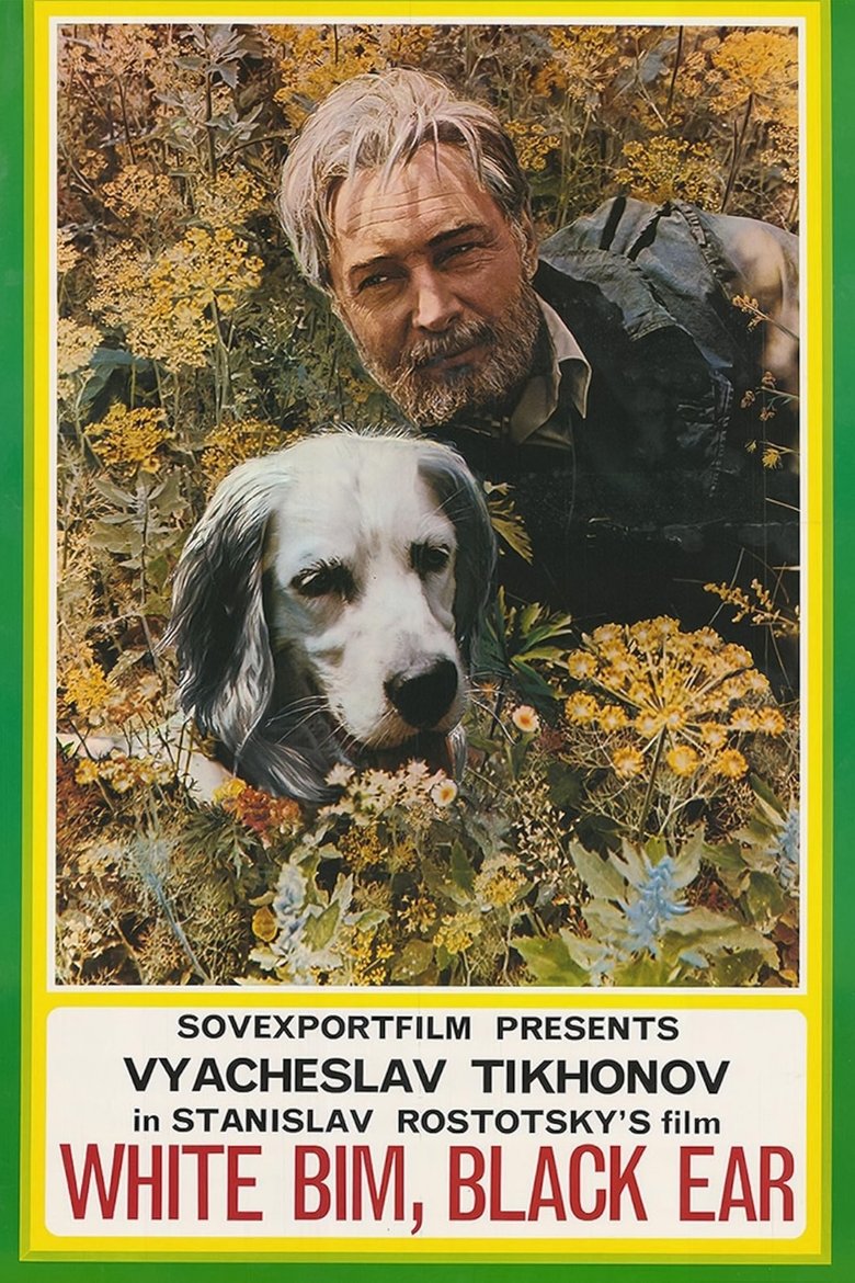 Poster of White Bim Black Ear