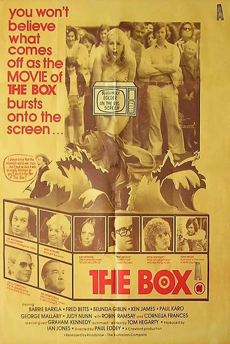 Poster of The Box