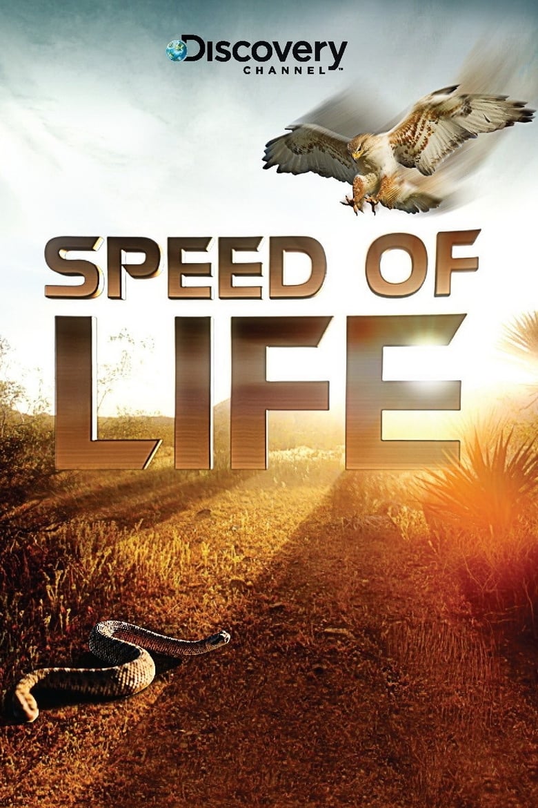 Poster of Speed of Life