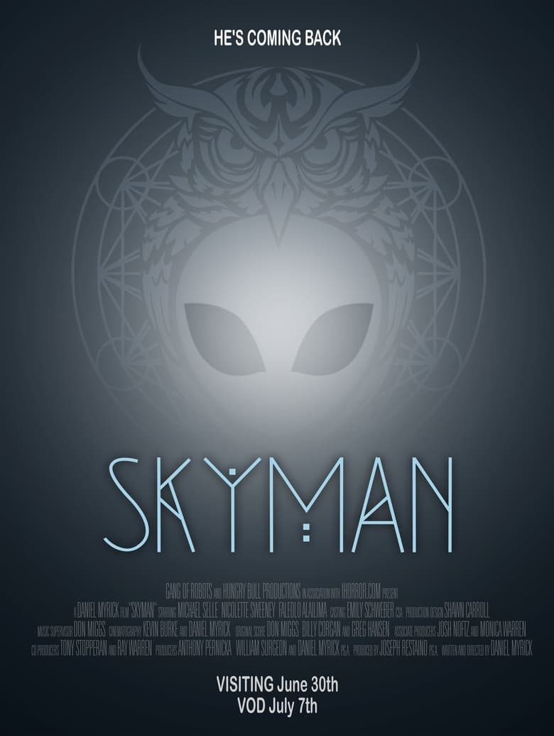 Poster of Skyman