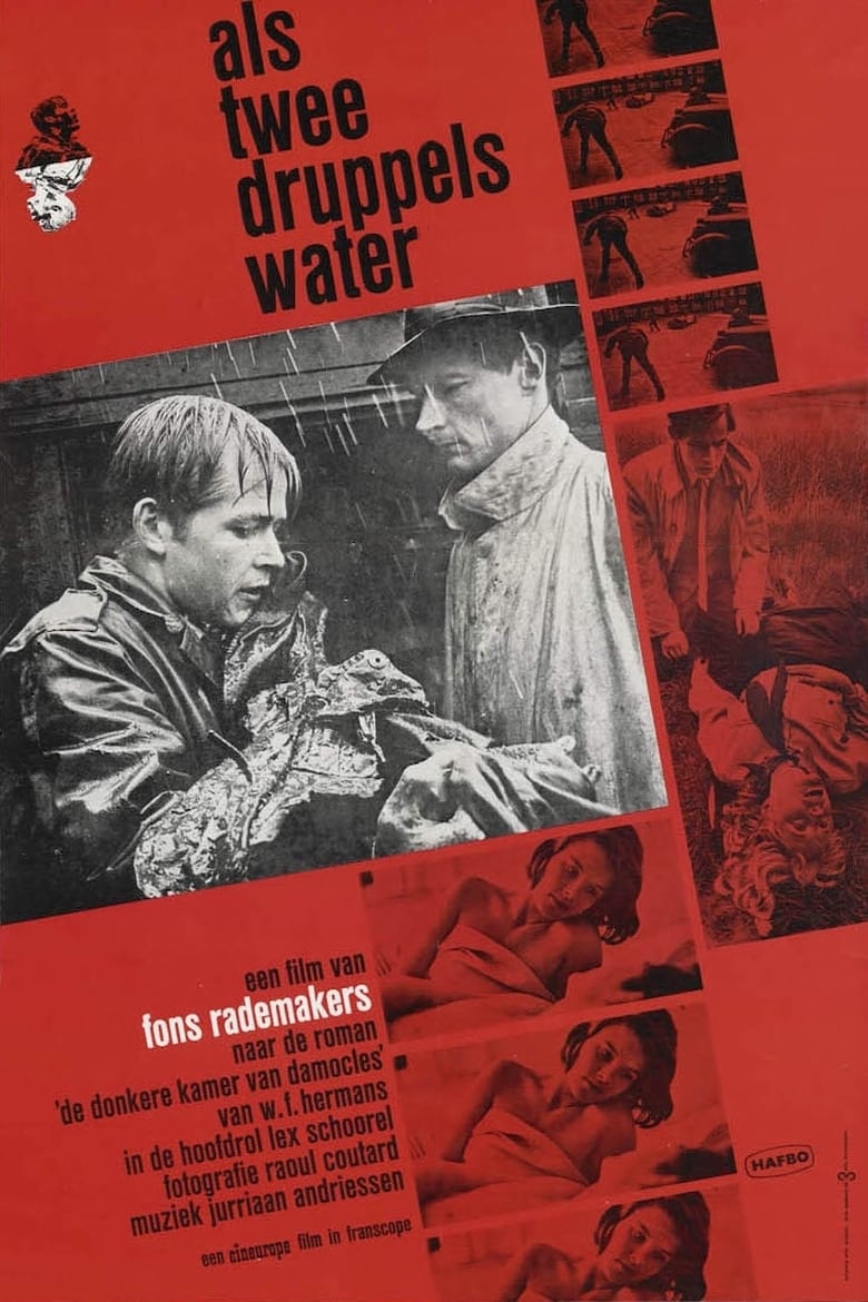 Poster of Like Two Drops of Water