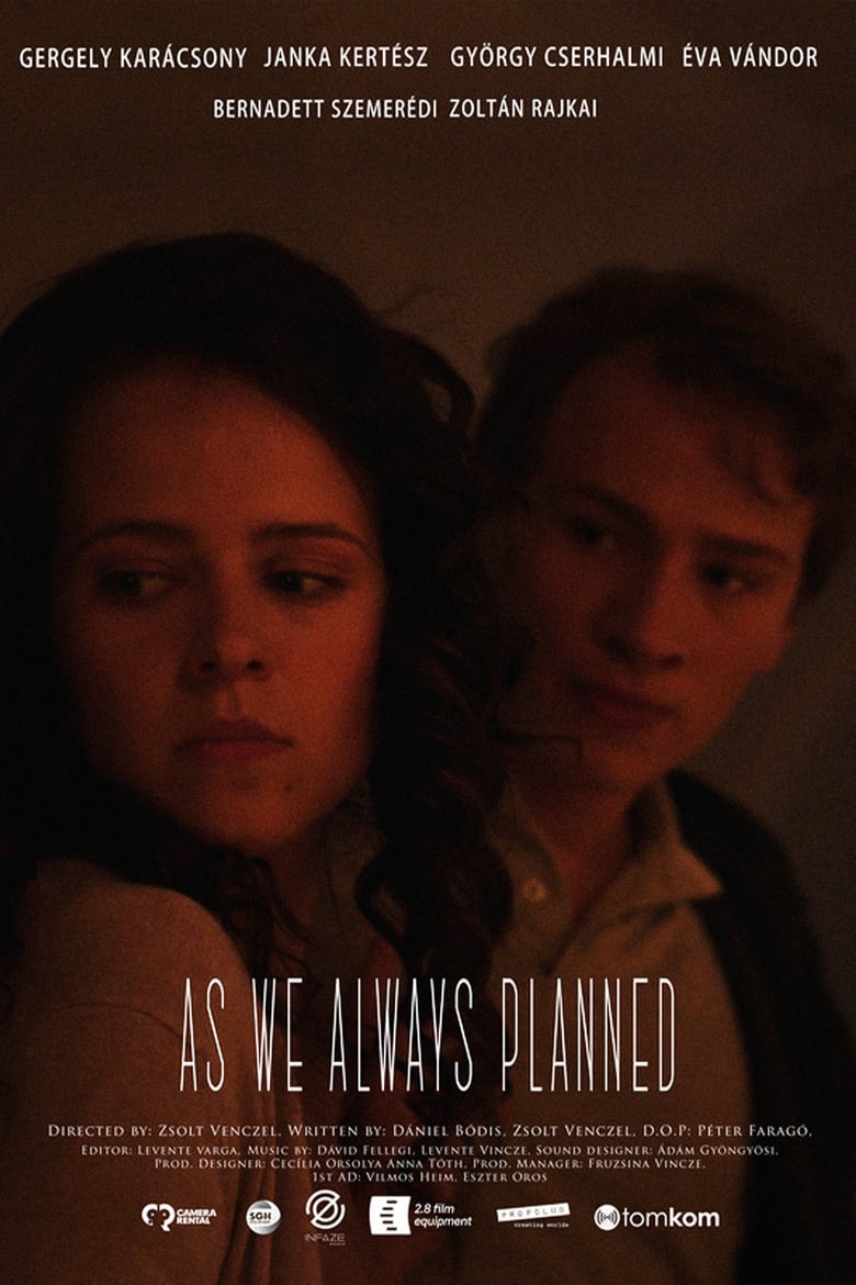 Poster of As we always planned