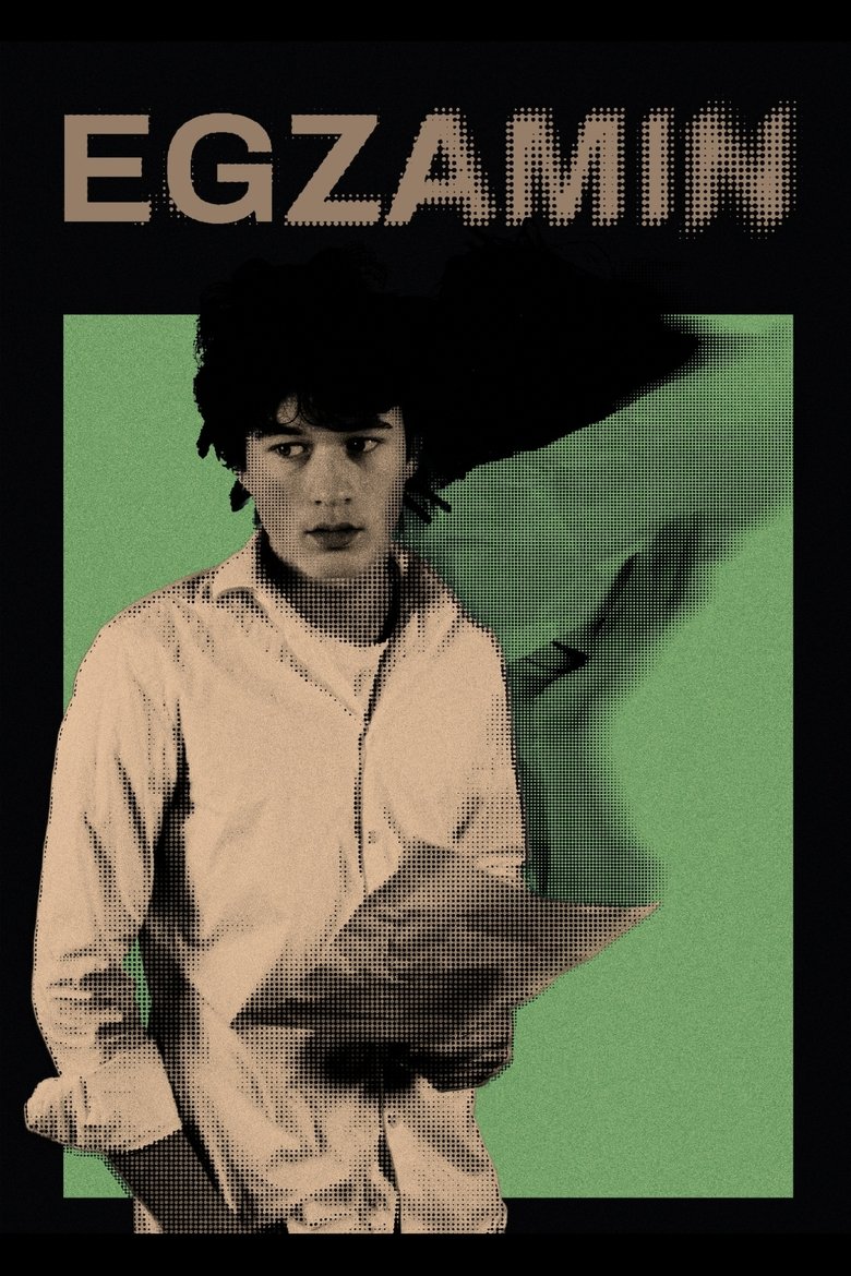 Poster of Egzamin