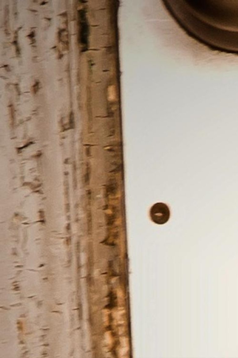Poster of Revelation Machine