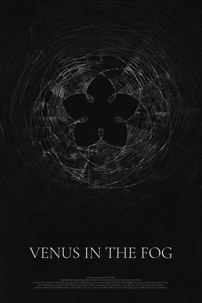 Poster of Venus in the Fog