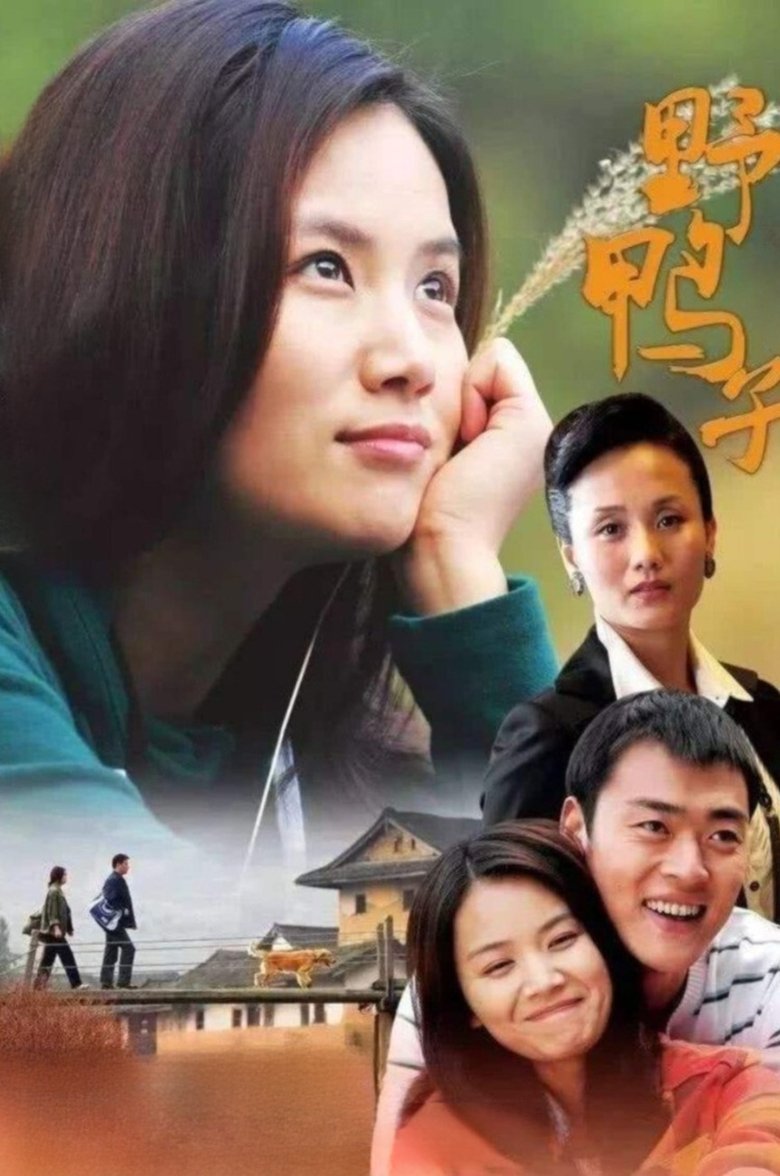 Poster of 野鸭子