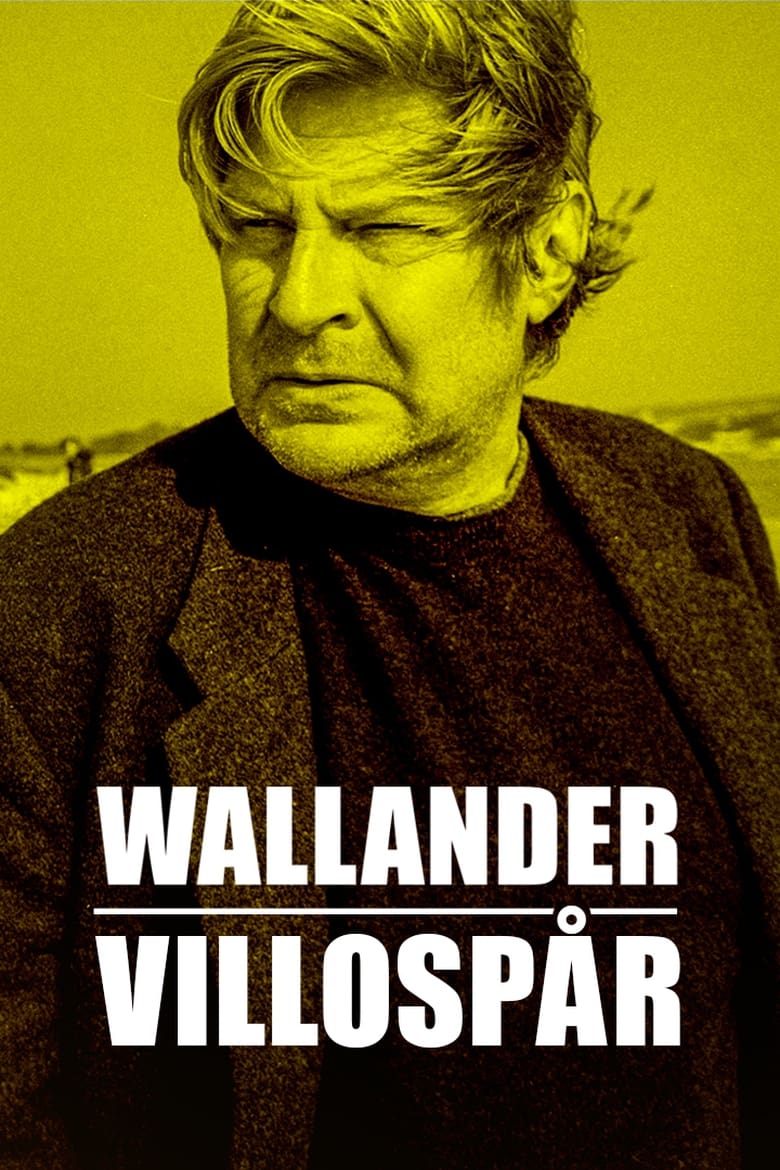 Poster of Wallander: Sidetracked