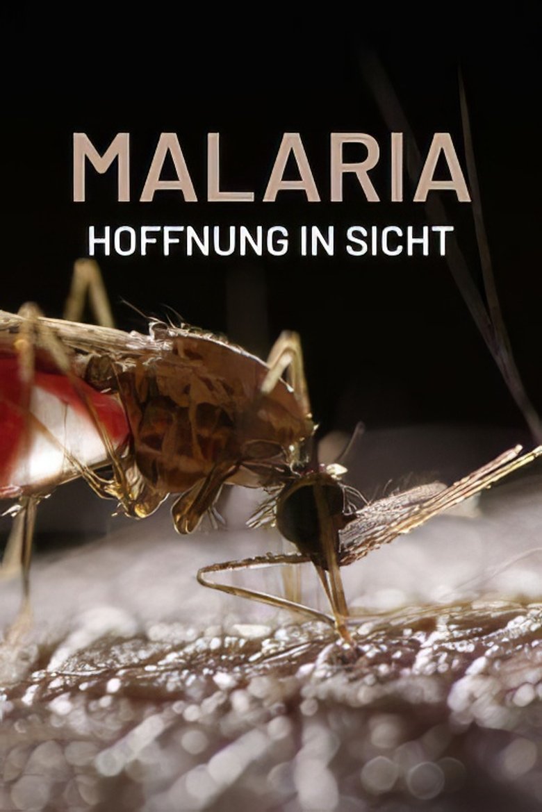 Poster of Malaria, Hoffnung in Sicht