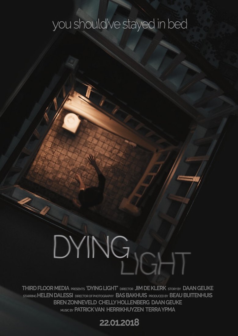 Poster of Dying Light