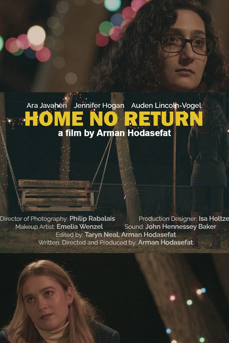 Poster of Home No Return