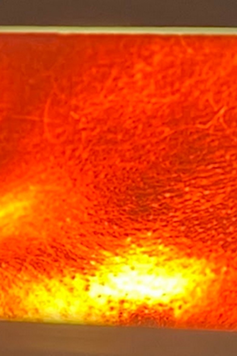 Poster of Coiled