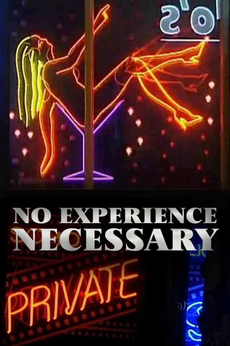 Poster of No Experience Necessary