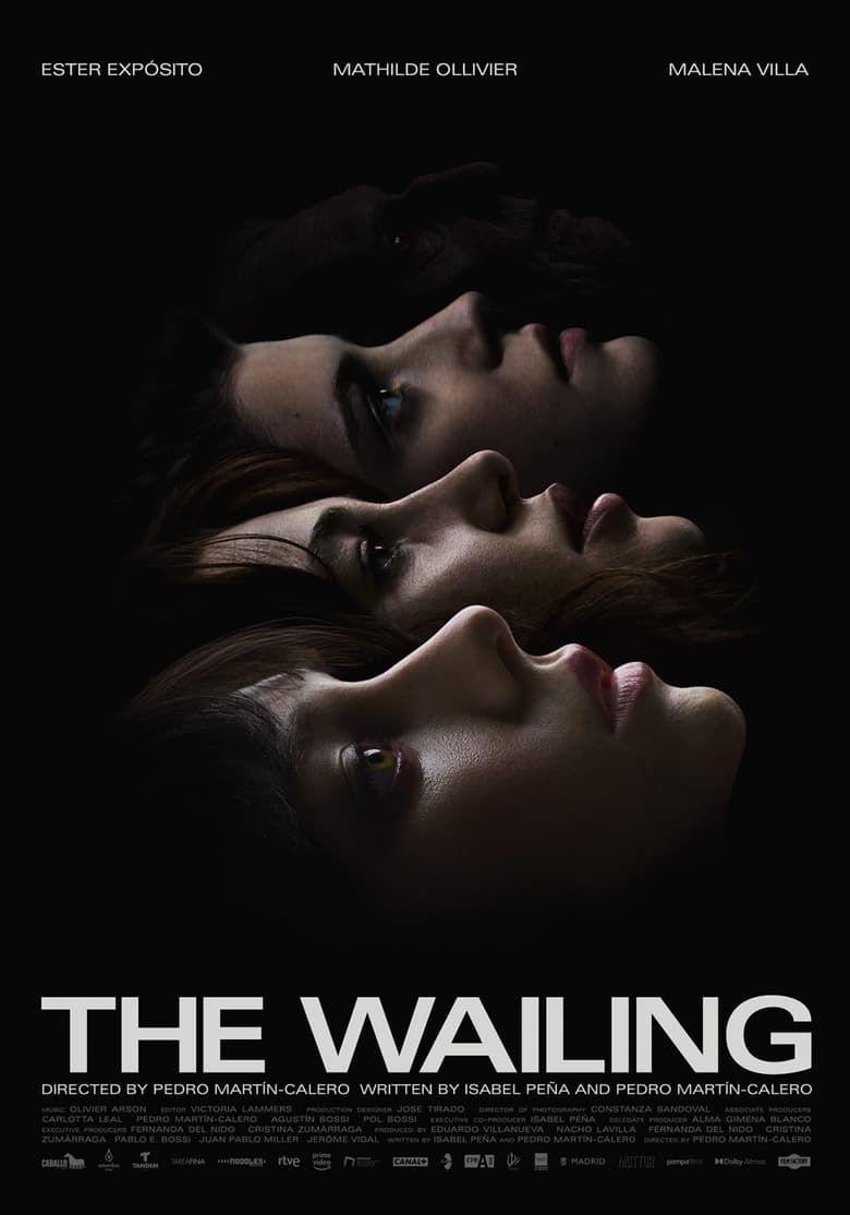 Poster of The Wailing