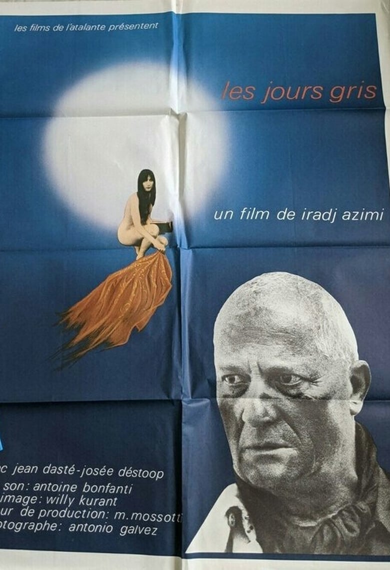 Poster of Les jours gris