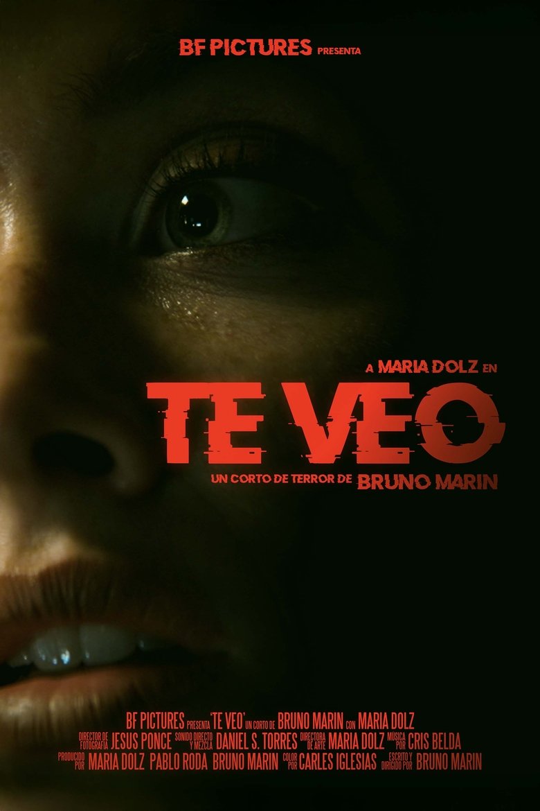 Poster of Te Veo