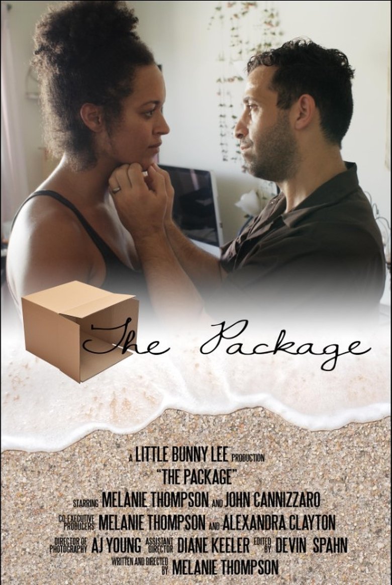 Poster of The Package