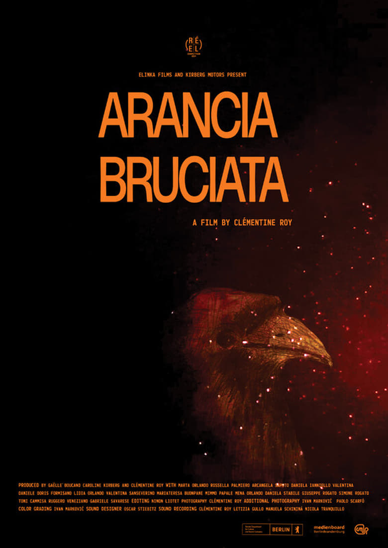 Poster of Arancia Bruciata