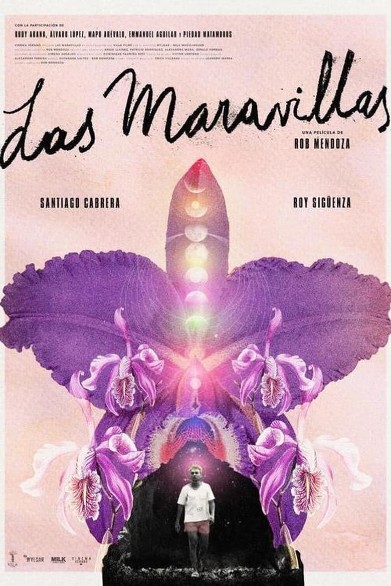 Poster of Back to Las Maravillas