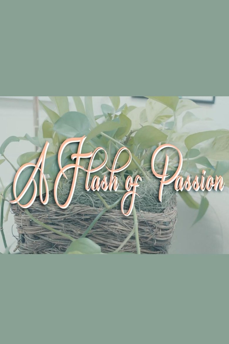 Poster of A Flash Of Passion