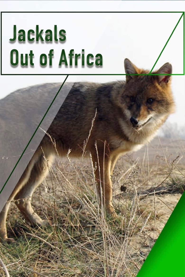 Poster of Jackals - Out of Africa