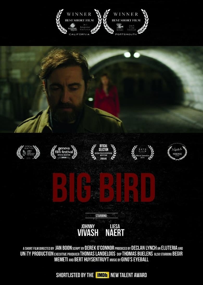 Poster of Big Bird